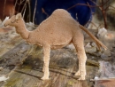camel