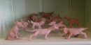 dogs