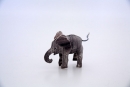 elephant-calf-1