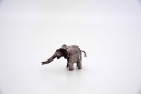 elephant-calf-2