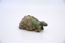 giant-tortoise