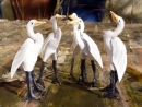 herons