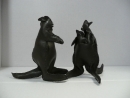 kangaroos