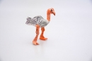 ostrich