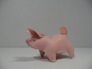 piglet