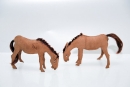 race-horse