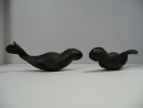 seals