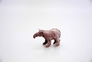 tapir
