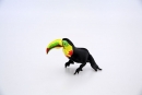 toucan