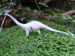 diplodocus