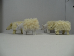 Sheep