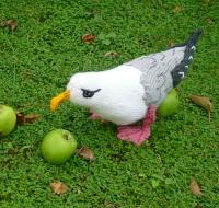 Seagull