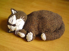 Sleeping cat
