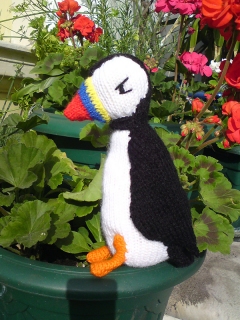 Puffin