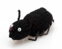 bedbug