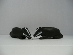 Badgers