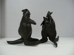Kangaroos