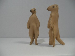 Meerkats