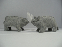 Rhinos
