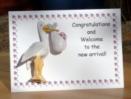 Baby card