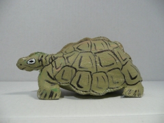 leather-tortoise