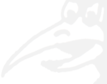 Crafty Old Crow